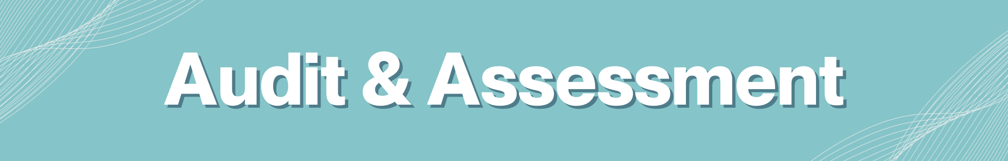 Audit & Assessment Banner